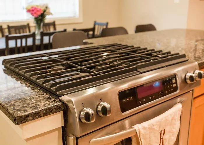 Designer Themed 4 Bedroom In Location With Patio And Fireplace Holiday home Chicago